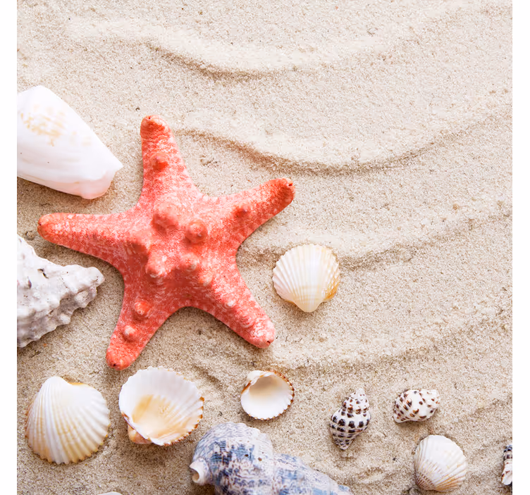 Tenda a rullo bagno stelle marine e conchiglie sulla sabbia - TenStickers