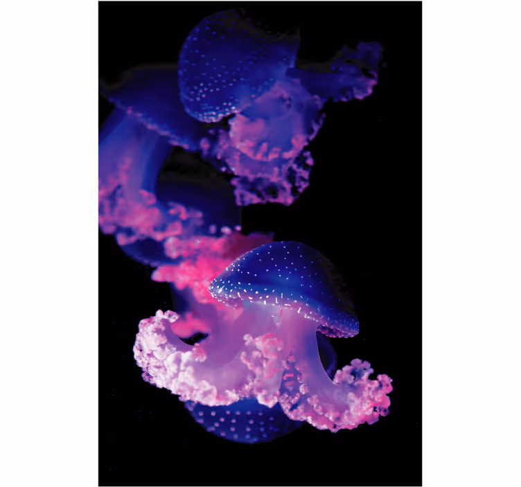 Tenda a rullo bagno medusa viola - TenStickers