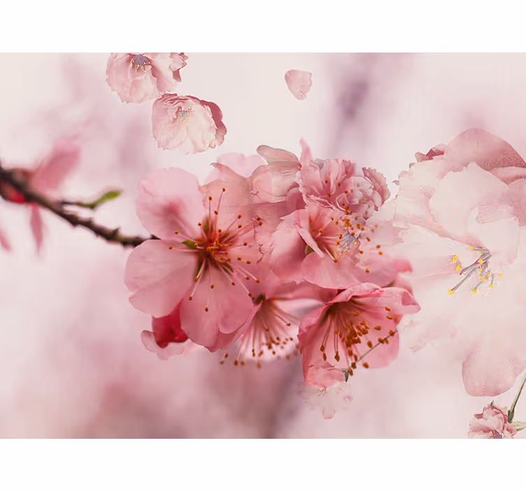 Tenda a rullo bagno fiori da bagno - TenStickers