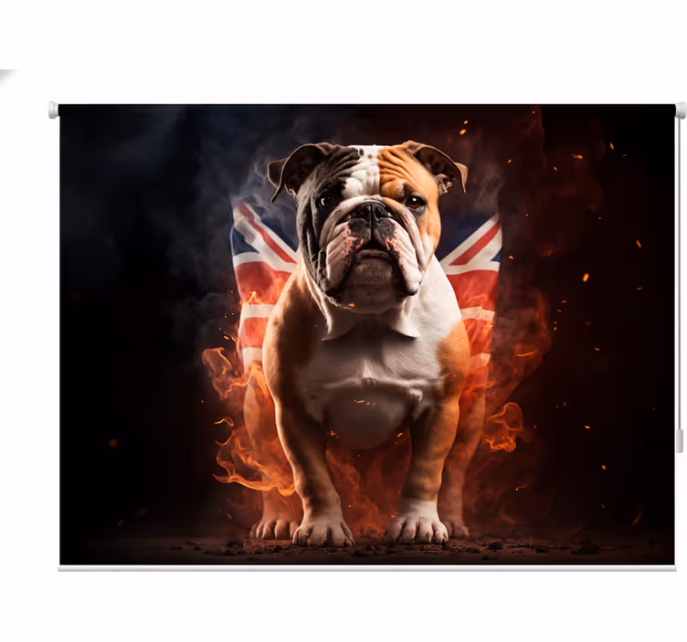 Tenda a rullo camera ragazzi bulldog inglese in fiamme - TenStickers