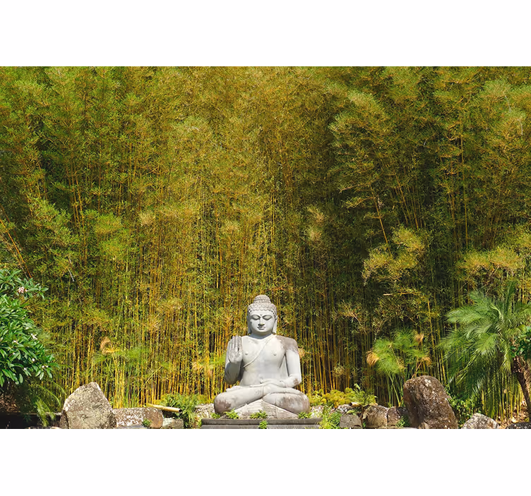Tenda a rullo zen buddha grigio che guarda natura verde - TenStickers