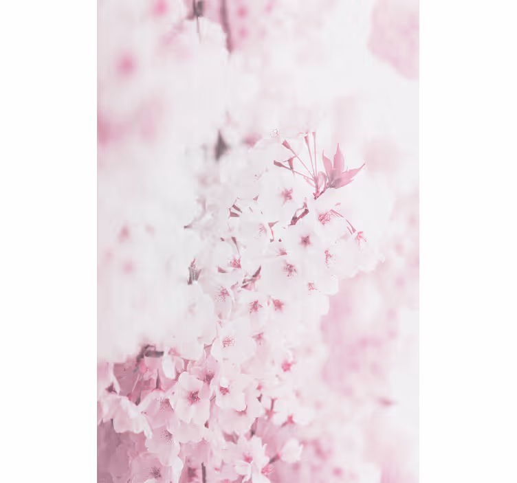 Tenda a rullo fiori e piante fiori rosa delicati - TenStickers