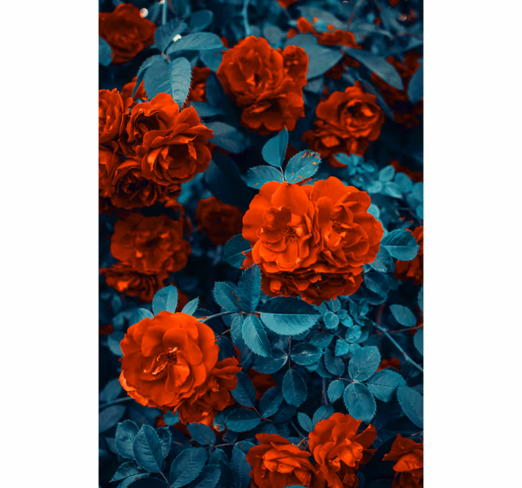 Tenda a rullo fiori e piante rose in fiore vivaci - TenStickers