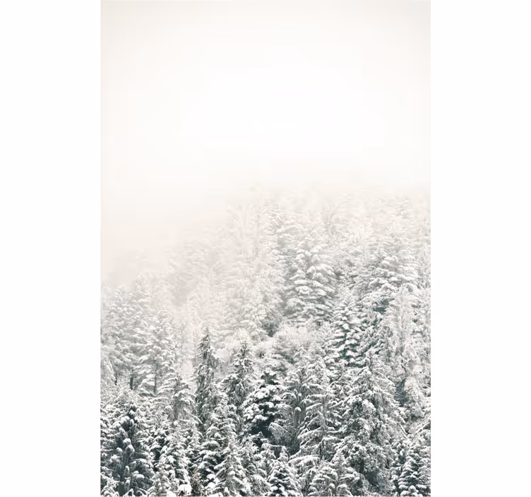 Tenda a rullo alberi pini innevati - TenStickers