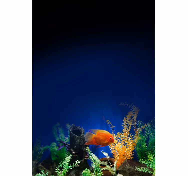 Tende a rullo più animali Vita in acquario - TenStickers