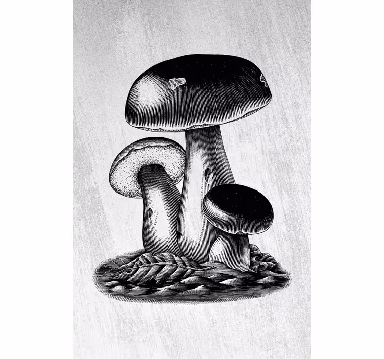 Tenda a rullo fiori e piante eleganza dei funghi - TenStickers
