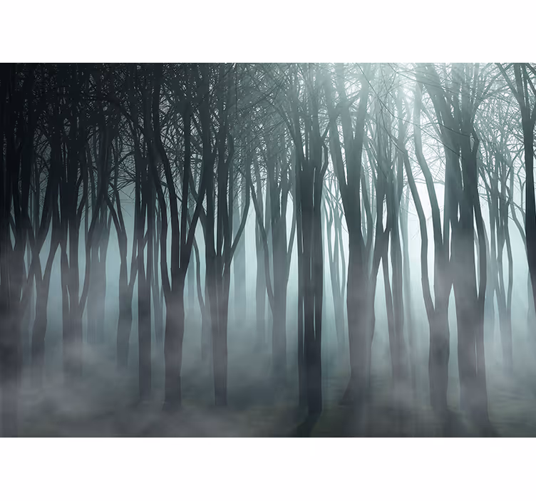 Tenda a rullo alberi sagoma di foresta nebbiosa - TenStickers
