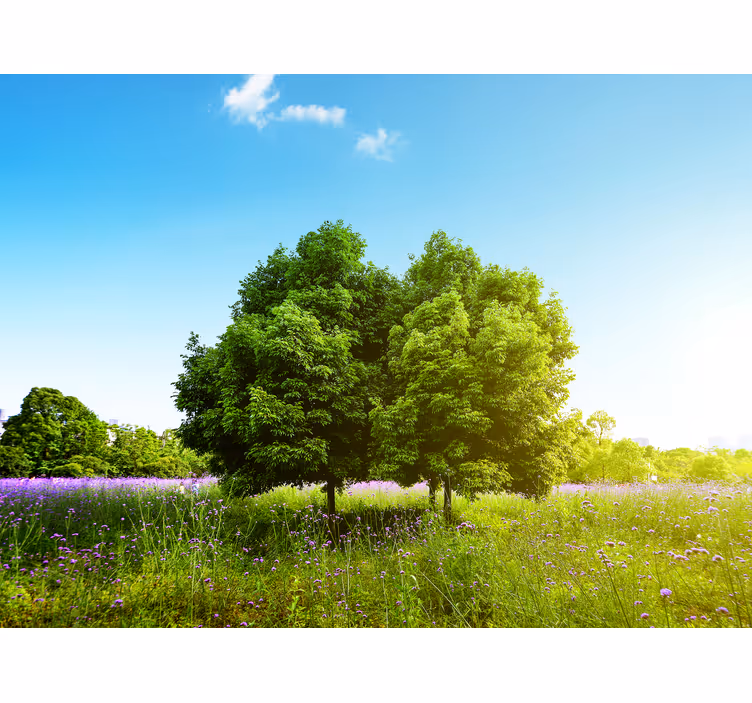 Tenda a rullo alberi scena di vegetazione lussureggiante - TenStickers