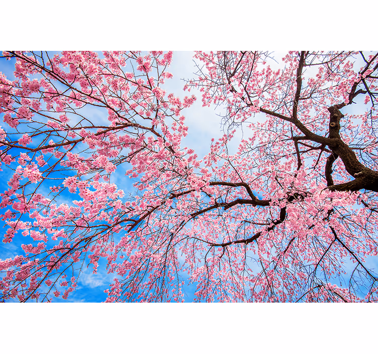 Tenda a rullo piante e fiori arto di sakura - TenStickers