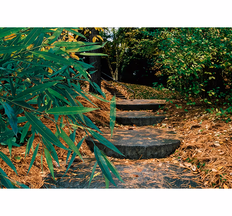 Tenda a rullo con sfondo di foresta - TenStickers