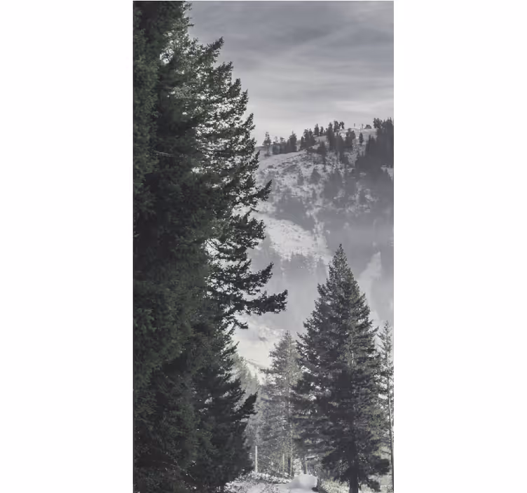 Tenda a rullo alberi maestosi pini di montagna - TenStickers