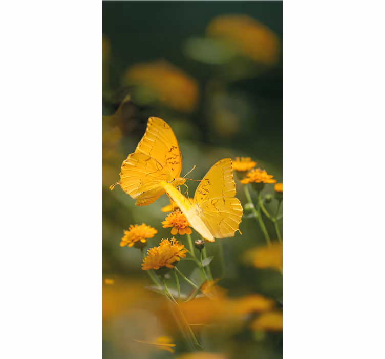 Tende a rullo di farfalle ali gialle realistiche - TenStickers