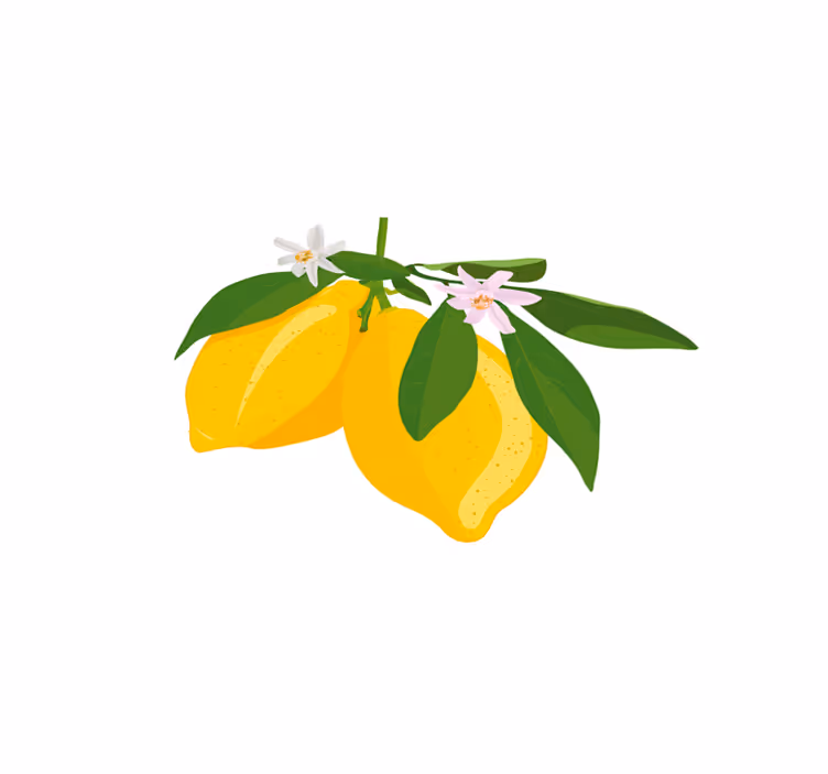 Tovaglietta americana originale illustrazione ramo di limone - TenStickers