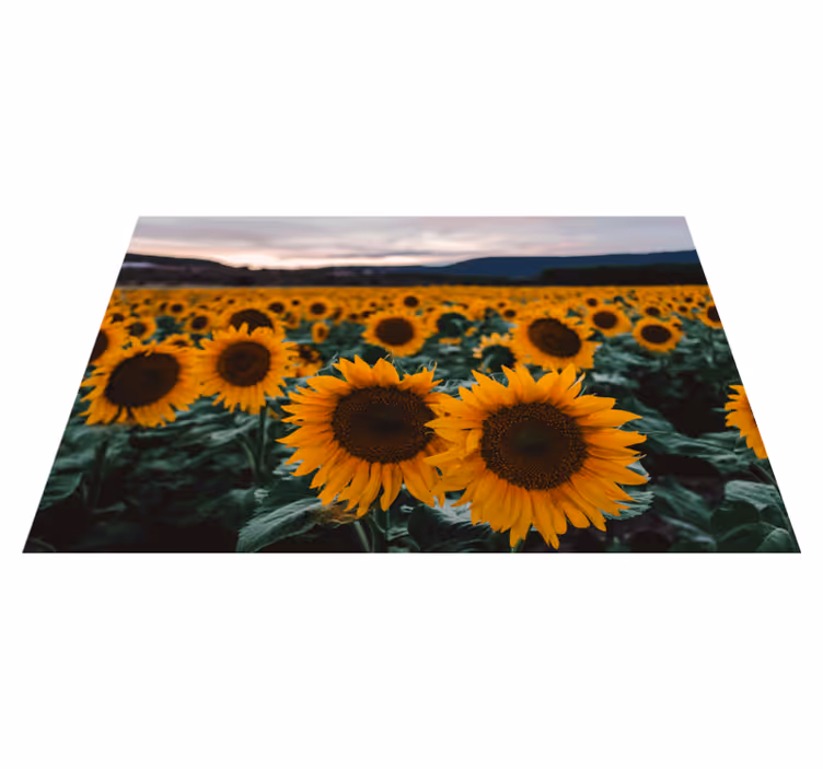 Tovaglietta americana originale vista campo di girasoli - TenStickers