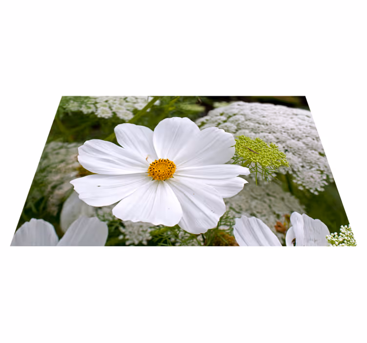Tovaglietta americana originale fiore bianco elegante - TenStickers