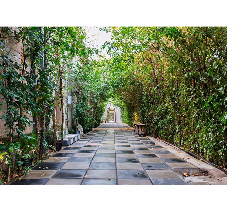 Fotomurale 3d pergola con piante - TenStickers