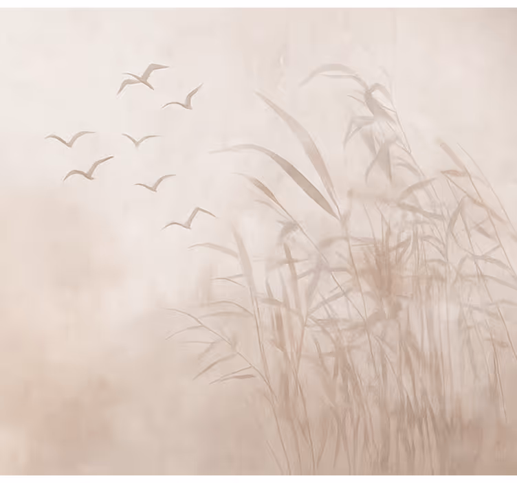 Fotomurale soggiorno canne di uccelli nebbiosi - TenStickers