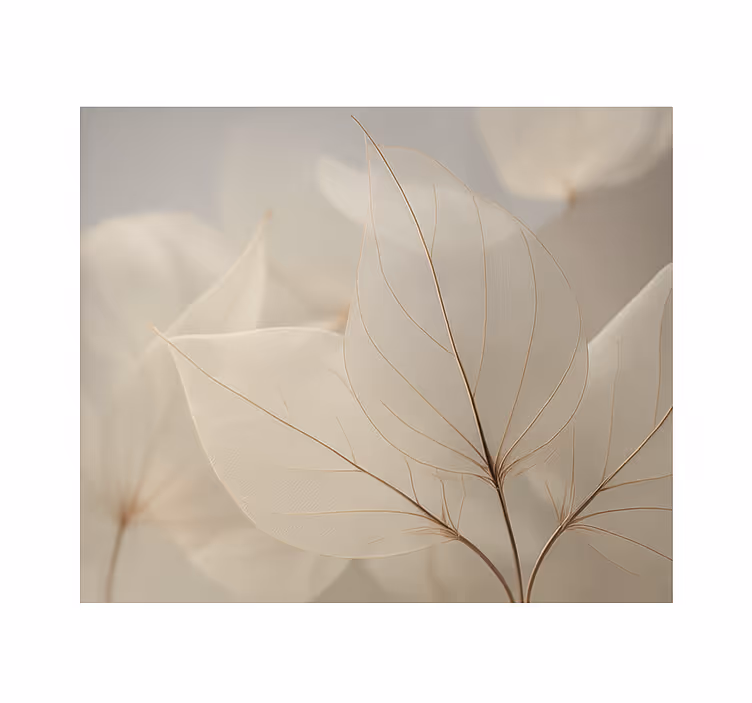 Fotomurale soggiorno foglie scheletriche bianche - TenStickers