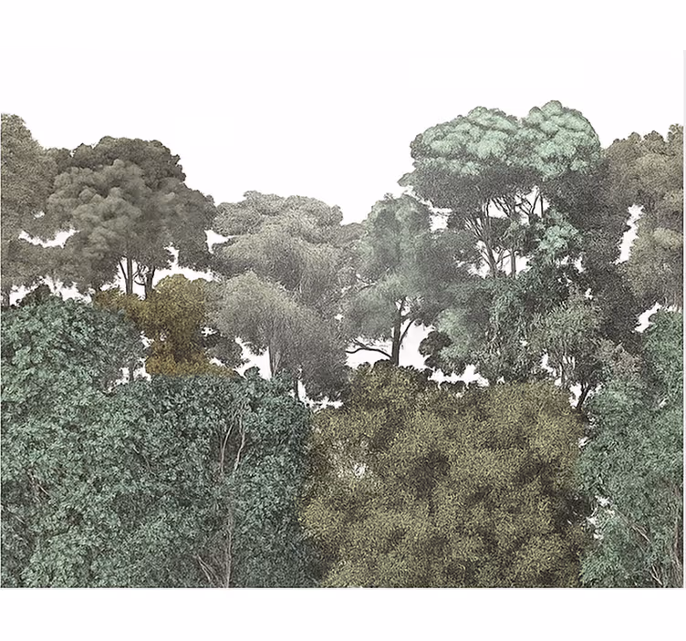 Fotomurale cameretta ragazzi  motivo della foresta pluviale - TenStickers