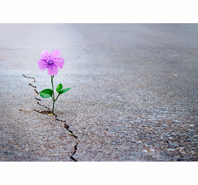 Fotomurale 3d fiori e cubi - TenStickers