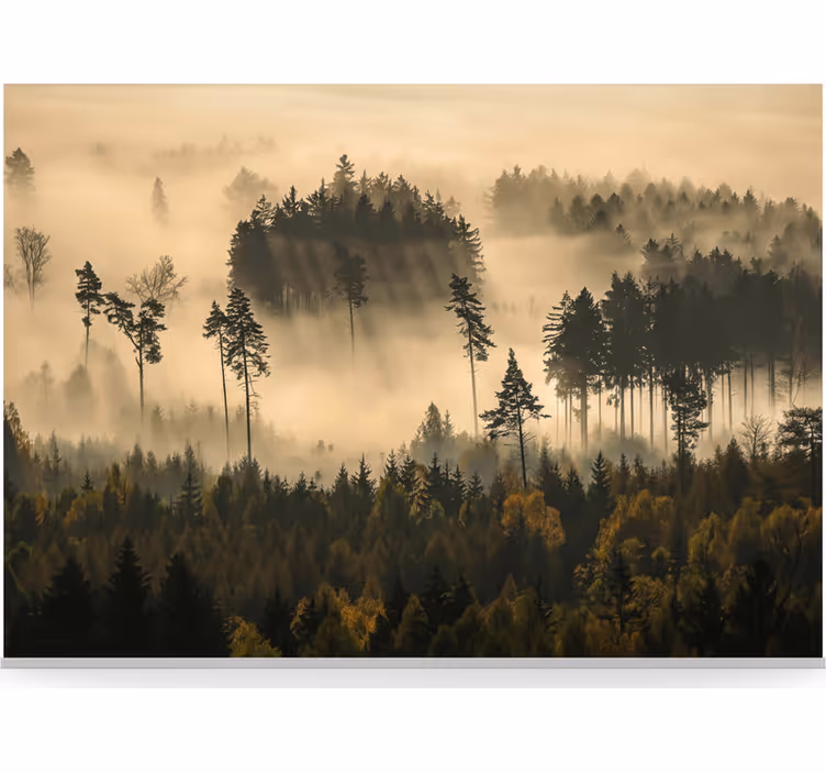 Fotomurale foresta nebbia eterea del mattino - TenStickers