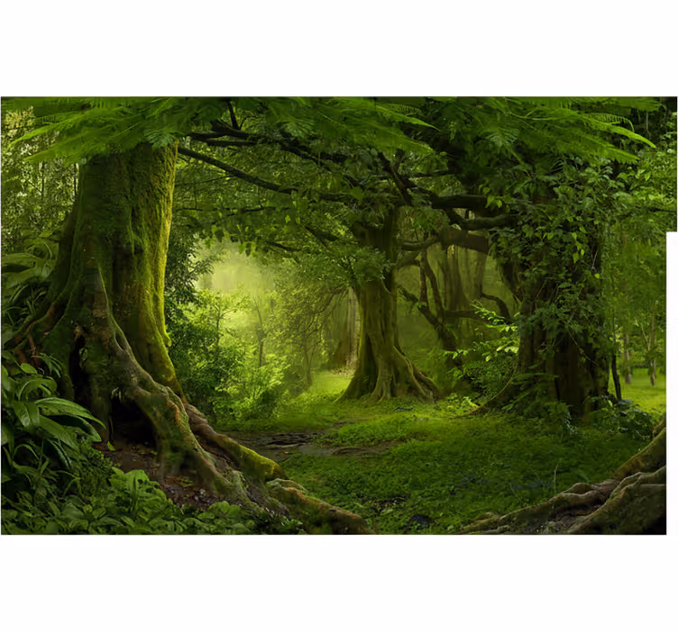 Fotomurale foresta fuga nel bosco lussureggiante - TenStickers