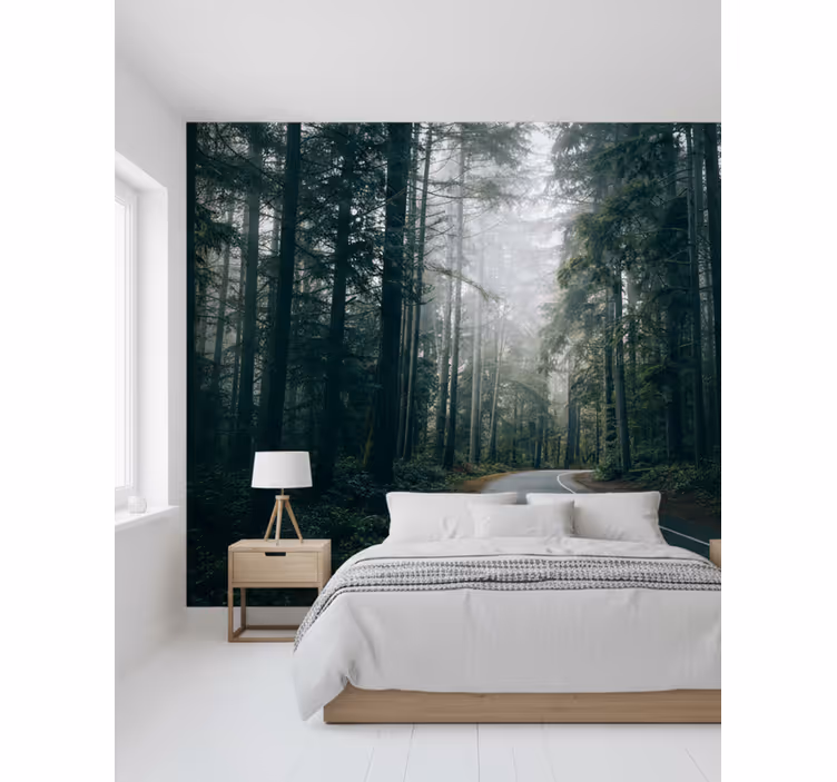 Fotomurale foresta strada di pini nebulosa - TenStickers