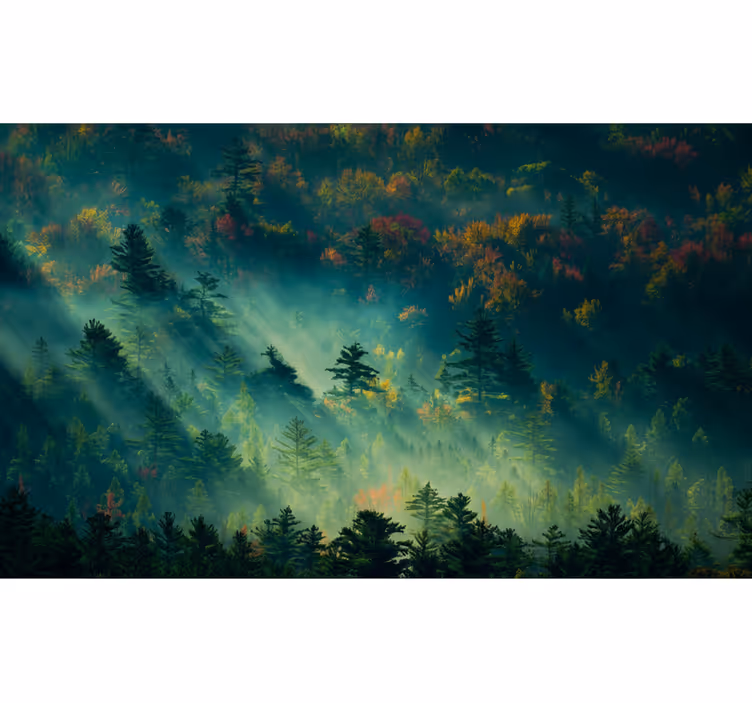 Fotomurale foresta la foresta melanconica - TenStickers