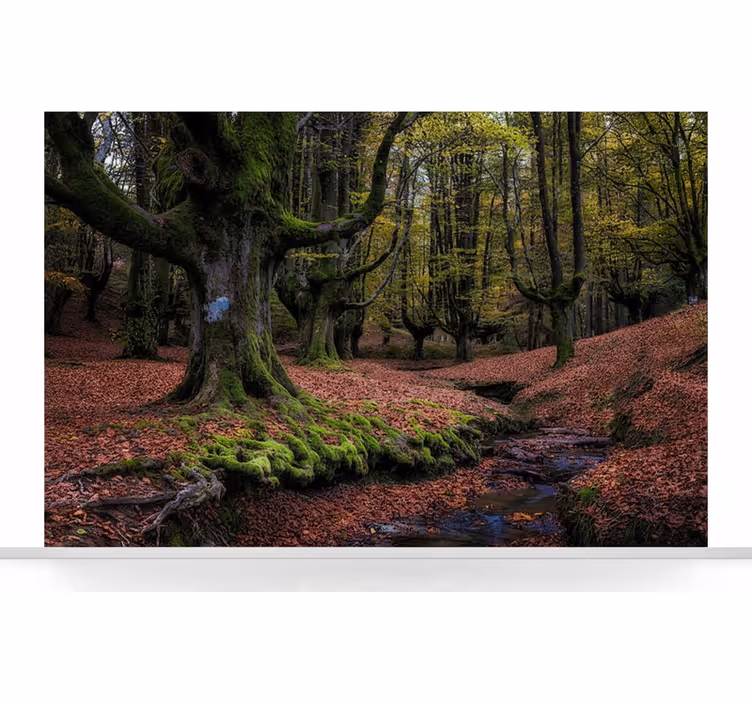 Fotomurale foresta bosco d'autunno incantato - TenStickers