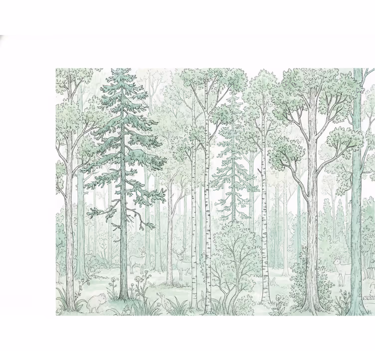 Fotomurale foresta schizzo boschivo menta - TenStickers