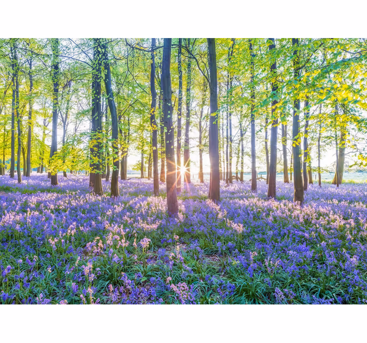 Fotomurale foresta modernismo ispirato alla natura - TenStickers