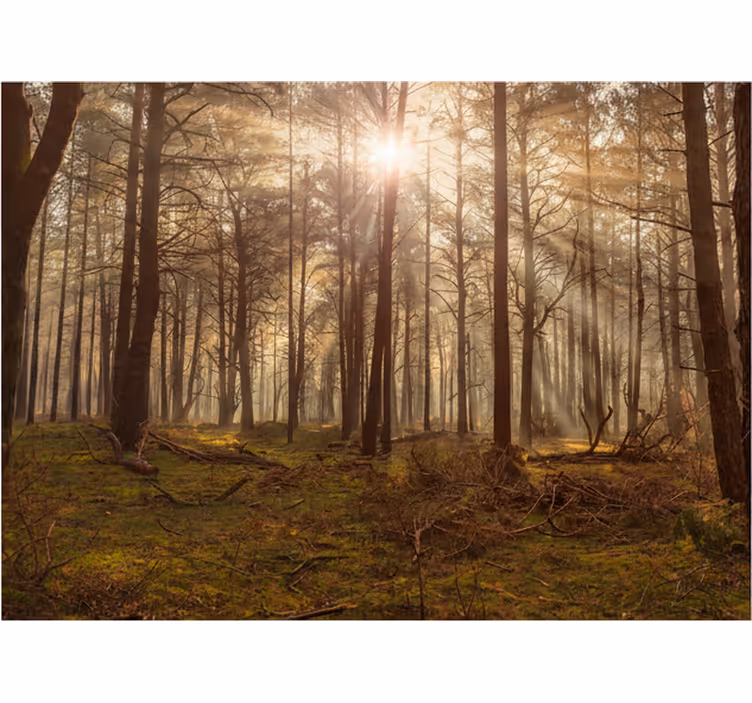 Fotomurale foresta salotto faunistico dorato - TenStickers