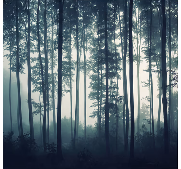 Fotomurale foresta foresta zen dipinta - TenStickers