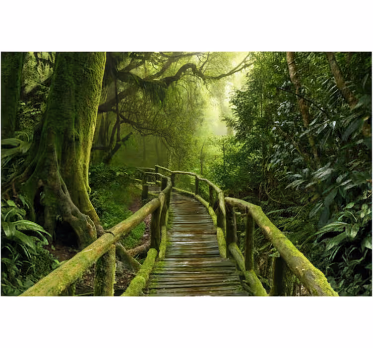 Fotomurale foresta sentiero muschioso lussureggiante - TenStickers