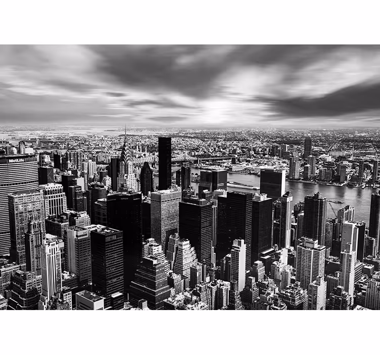 Fotomurale New York panorama dell'orizzonte urbano - TenStickers