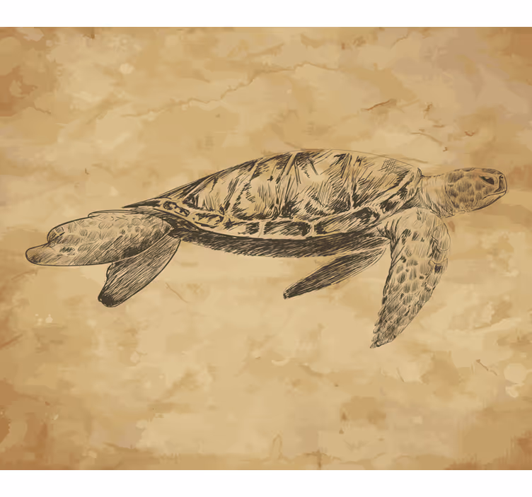 Fotomurale beige illustrazione di tartaruga - TenStickers
