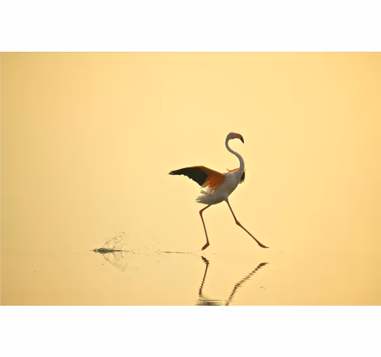 Fotomurale giallo fenicotteri divertenti in corsa - TenStickers