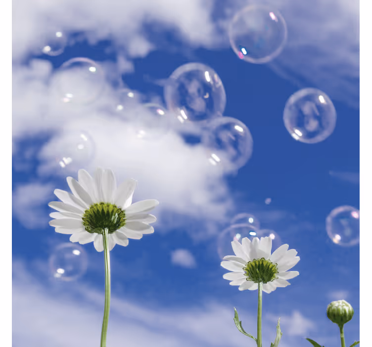 Fotomurale blu fiore di margherita e bolle - TenStickers