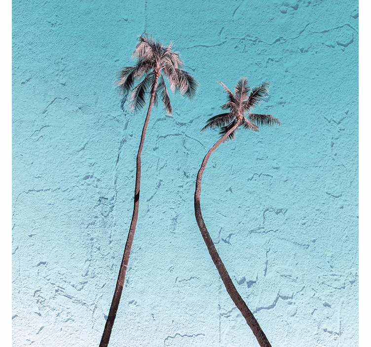 Fotomurale blu paesaggio della florida con palme - TenStickers