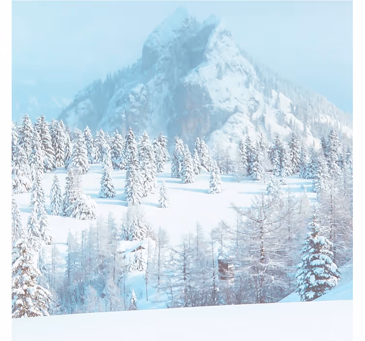 Fotomurale blu fotografia estetica invernale - TenStickers