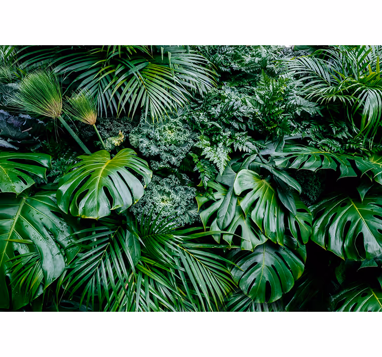 Fotomurale verde giungla soleggiata - TenStickers