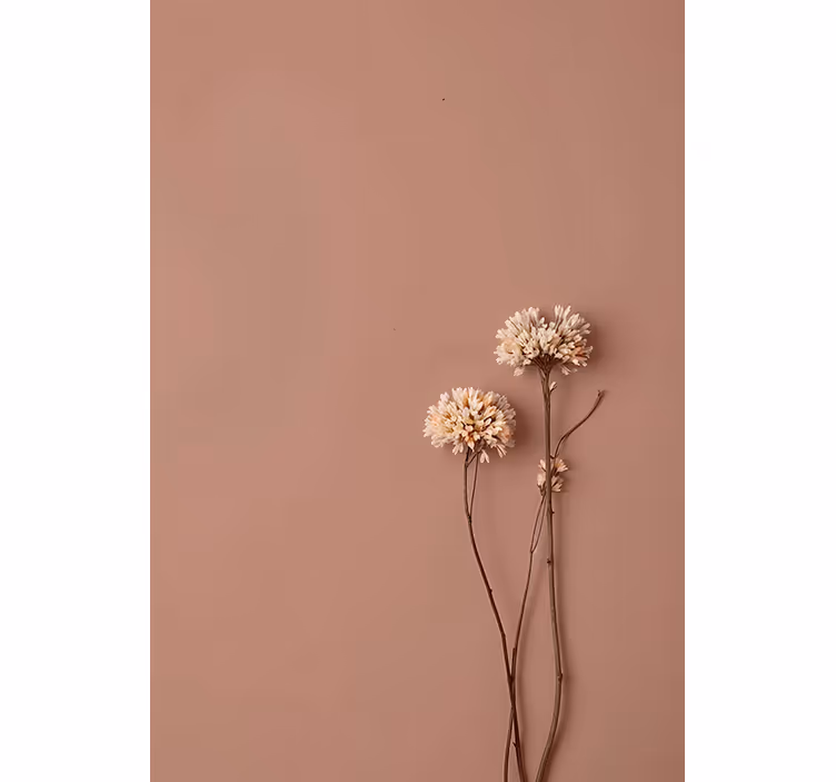 Fotomurale per ingresso fiori secchi - TenStickers