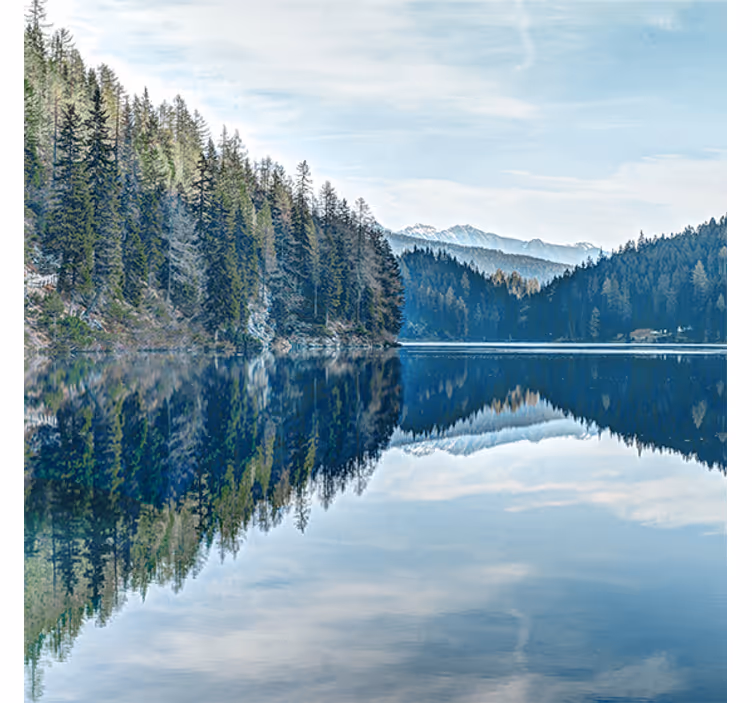 Fotomurale per ingresso fiume nella natura - TenStickers