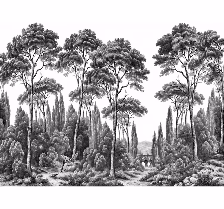 Fotomurali natura bianco e nero - TenStickers