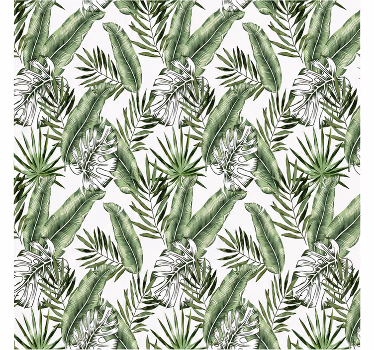 Fotomurali natura foglie di monstera verdi - TenStickers