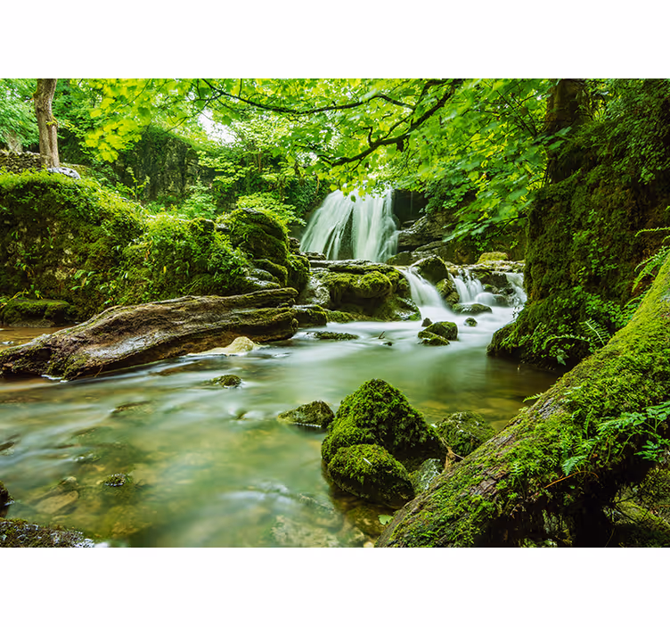Fotomurale natura cascata - TenStickers
