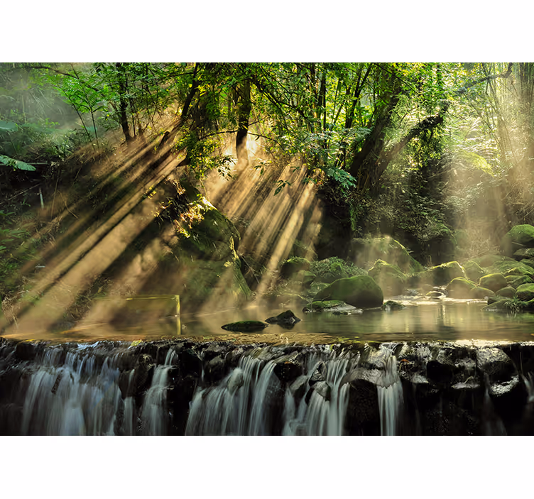 Il fotomurale foresta segreta - TenStickers