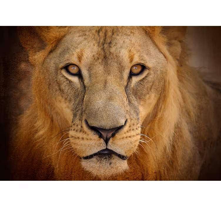 Realistico fotomurale 3D con leone selvaggio - TenStickers