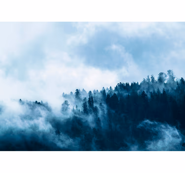 Fotomurale paesaggio di una foresta d'inverno - TenStickers