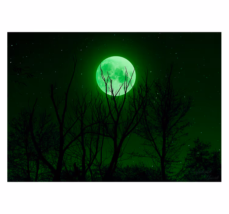 Fotomurale fantasia silhouette musicale al chiaro di luna - TenStickers